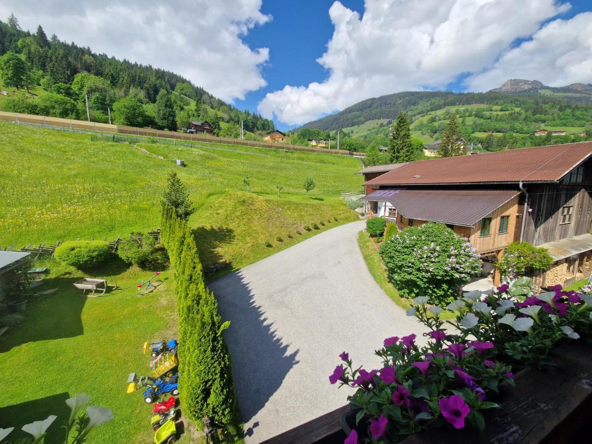 Urlaub Am Krausberghof, Apartment Mit Balkon Und Parkplatz, Inmitten Der Natur, Sauna Und Infrarotkabine, Kostenfreie Kaffeekapseln, 6 Fahrminuten Zur Alpentherme Gastein Und Zur Schlossalmbahn, Spielplatz 巴特霍夫加施泰因 外观 照片