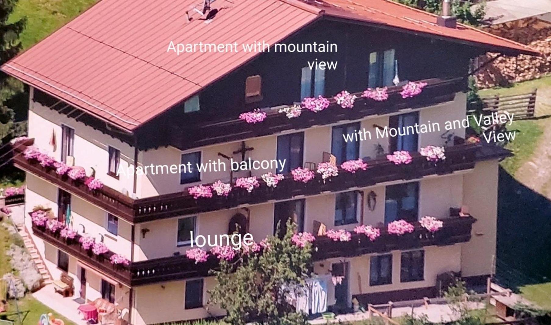Urlaub Am Krausberghof, Apartment Mit Balkon Und Parkplatz, Inmitten Der Natur, Sauna Und Infrarotkabine, Kostenfreie Kaffeekapseln, 6 Fahrminuten Zur Alpentherme Gastein Und Zur Schlossalmbahn, Spielplatz 巴特霍夫加施泰因 外观 照片